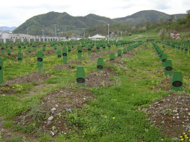 Soubor:Srebrenica Potocari Memorial 2.jpg