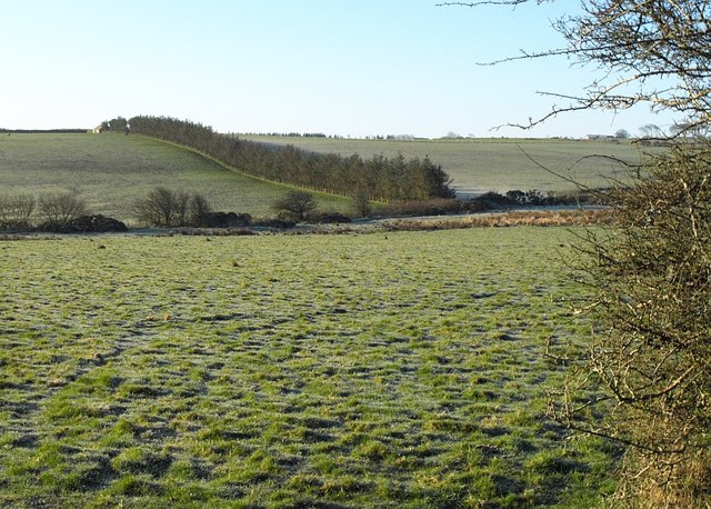Soubor:Wind break near Rosebenolte - geograph.org.uk - 731032.jpg