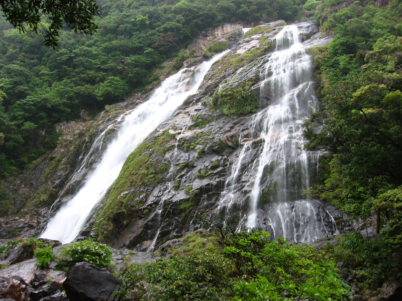 Soubor:Ooko Falls in Yaku Island.jpg