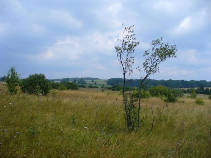 Soubor:NPP Na pozarech.jpg