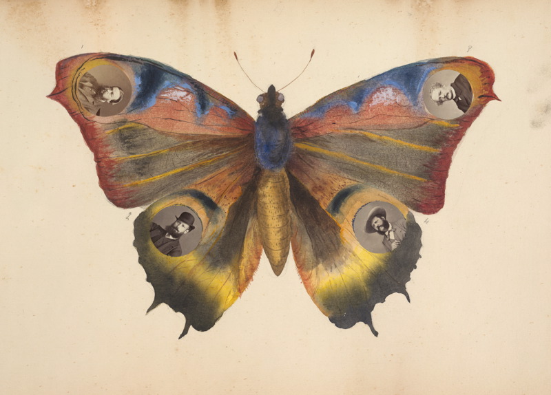 Soubor:Marie-Blanche-Hennelle Fournier The Madame B Album, 1870s.jpg