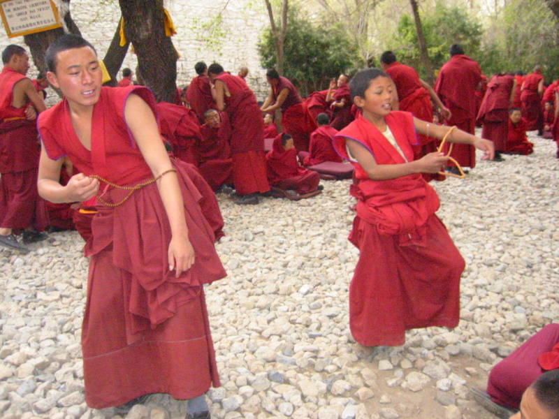 Soubor:Young monks of Drepung.jpg