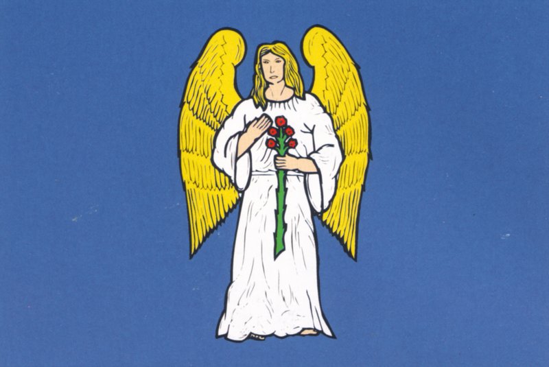 Soubor:Flag of Pustkovec.jpg