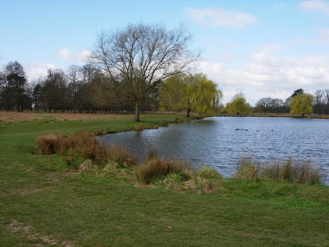 Soubor:Bushy Park - geograph.org.uk - 151485.jpg