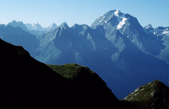 Soubor:Habicht wiki mg-k.jpg