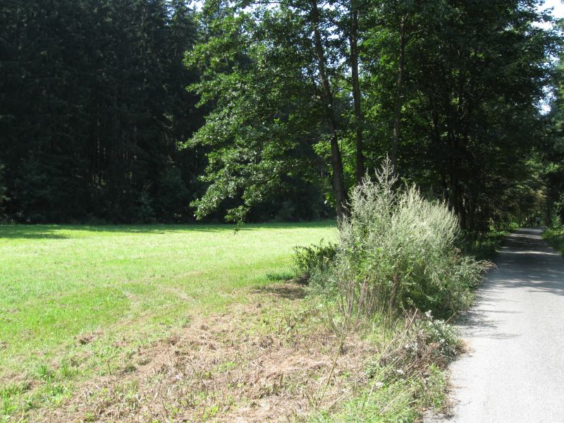 Soubor:Krasovské údolí 1.jpg