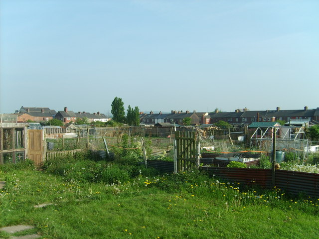Soubor:Allotment gardens - Low Valley - geograph.org.uk - 570241.jpg