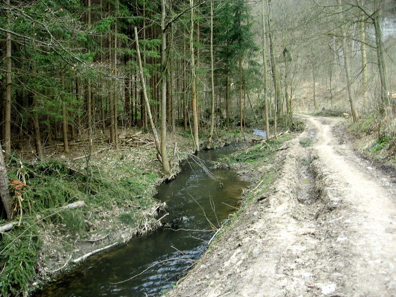 Soubor:Údolí Říčky (14).jpg