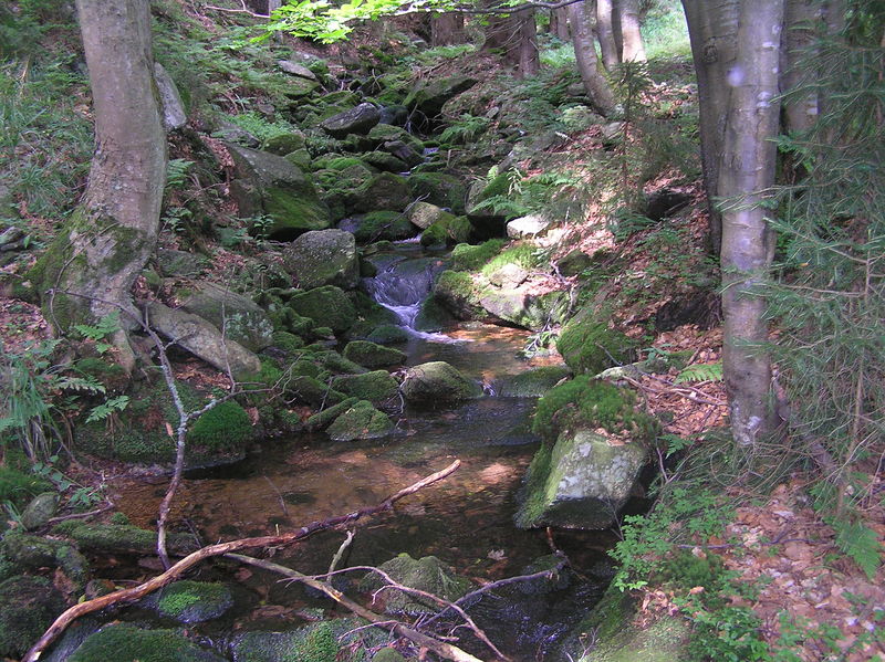 Soubor:Hluboký potok 1.JPG