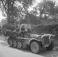 6th Airborne Division with captured German half track.jpg