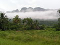 Nebel im Valle des Vinales, Kuba.jpg