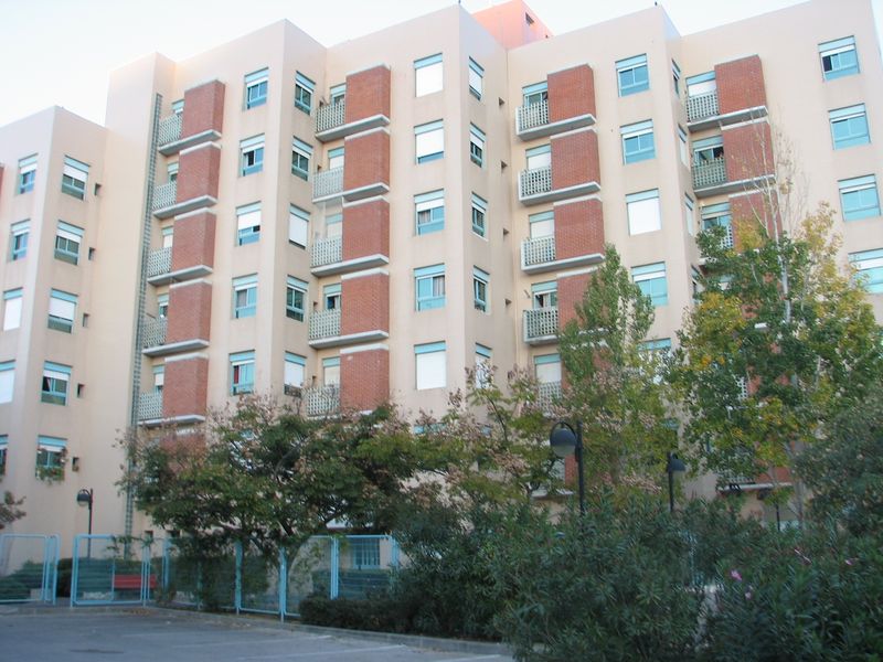 Soubor:Ramat Alon.jpg