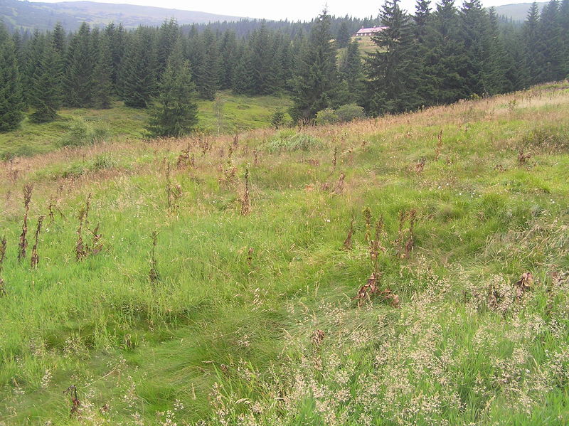 Soubor:Modrý důl4.JPG