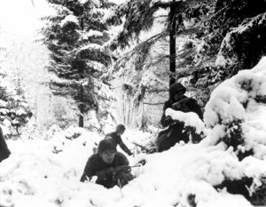 Battle of the Bulge.jpg