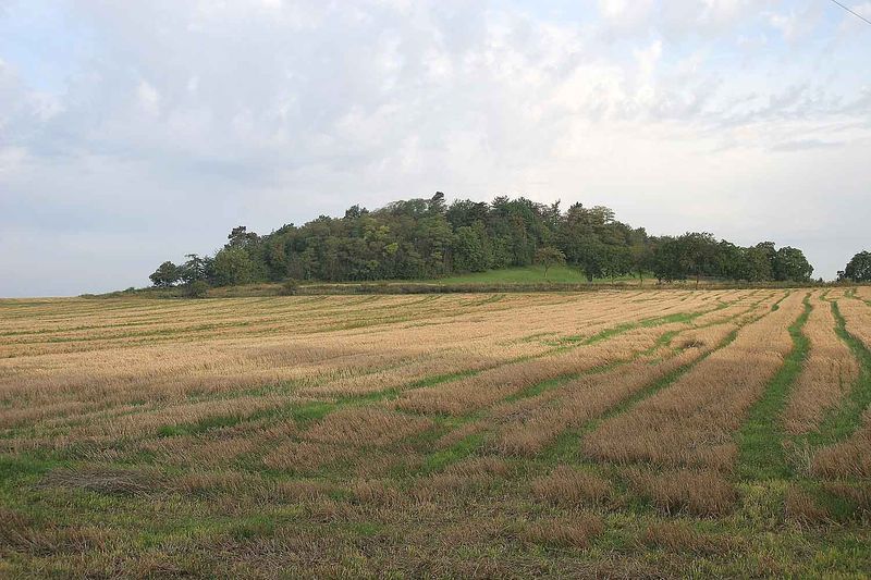 Soubor:PP Číčovický kamýk.jpg