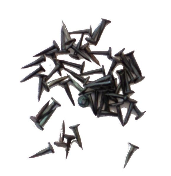 Soubor:Semence tapissier.jpg