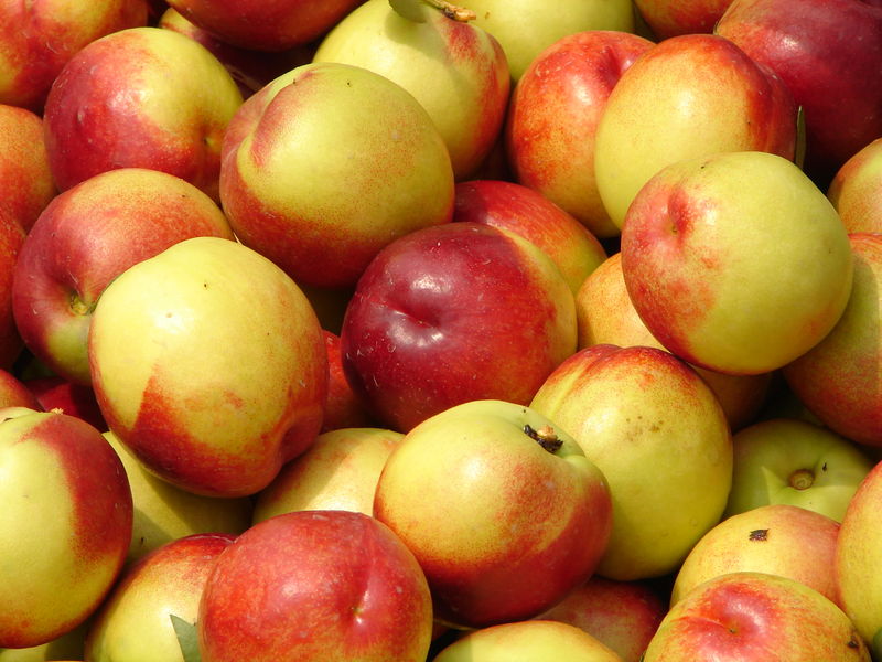 Soubor:Nectarines.jpg