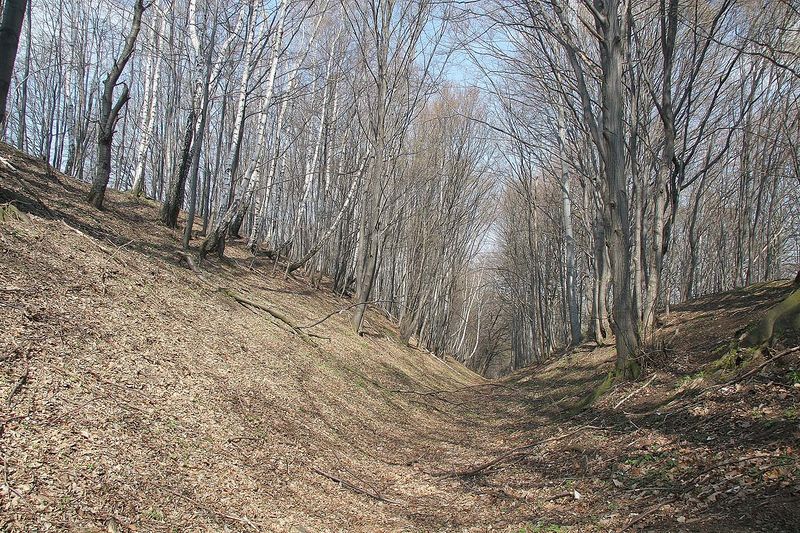 Soubor:Hradiště u Nasavrk5.jpg