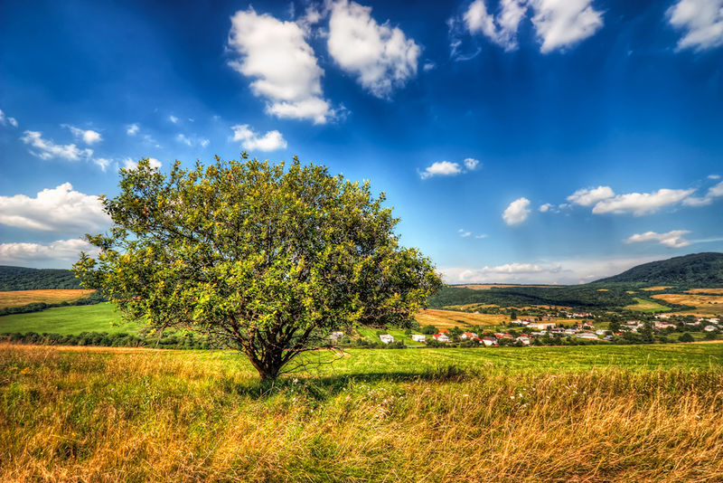 Soubor:Lovely Summer Light-theodevil.jpg