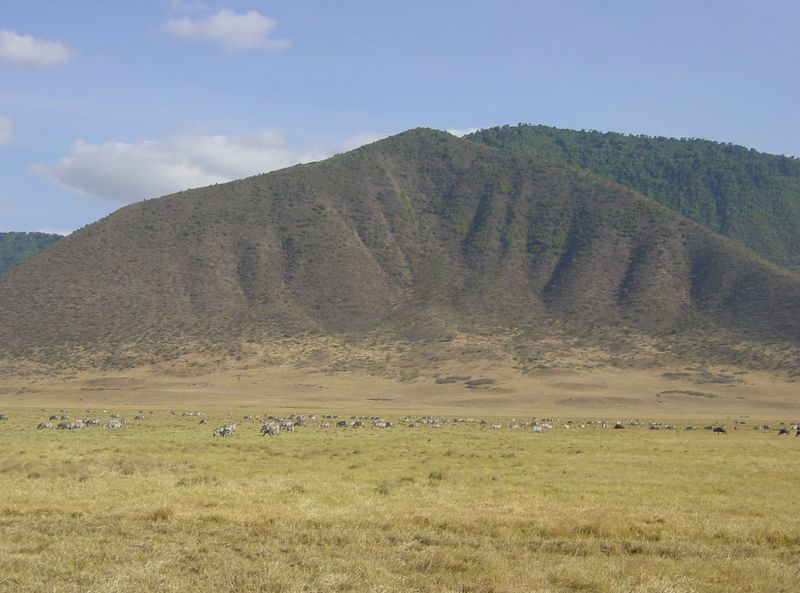 Soubor:Ngorongoro-Crater-animals.jpg