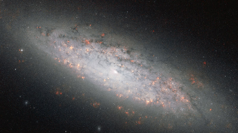 Soubor:NGC 6503 HST.jpg